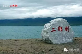 景点避雷：鸟岛？呵呵哒