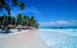 2026年2月黄历警告