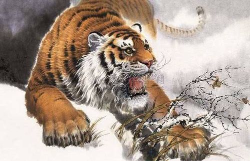 属蛇和虎八字合不合婚姻？男蛇男狗八字合吗是什么意思？