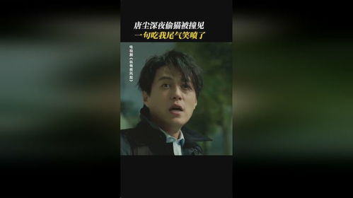 第四章：余悸 (挥之不去的阴影)