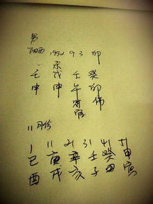 94年出生的人五行中缺少什么元素？