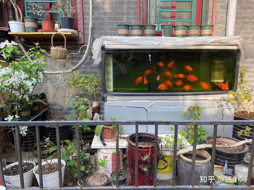 三、 前门巨大街附近：老字号与美食的诱惑（巨大街是什么鬼？）