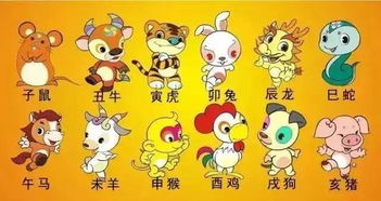 挑肥拣瘦的生肖指的是哪些？十二生肖中哪个生肖以嫌肥挑瘦著称？