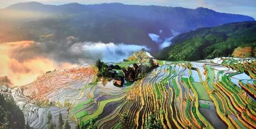 一、 出行准备