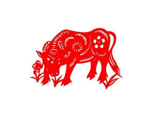 哪个生肖各怀心思？