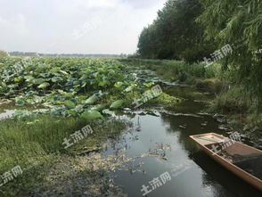 野沟门水库历史持续发展与魅力（拼凑版）