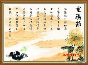 道教文雅里的沉淀与符号