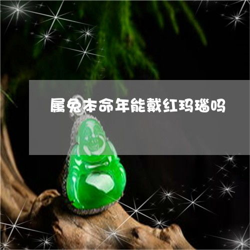大忌：一不小心就踩到雷区