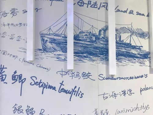 海洋名字的具体解读