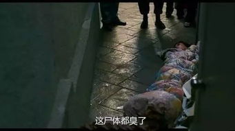 巨蜘蛛与公主