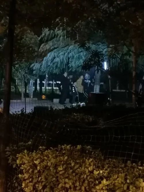 寂静的桥与星座的启示