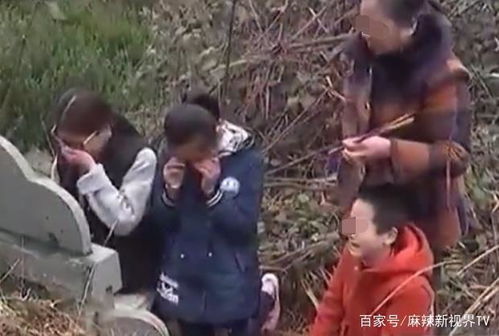 生肖与阴宅的秘密
