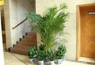 一定要挂风铃该怎么办？