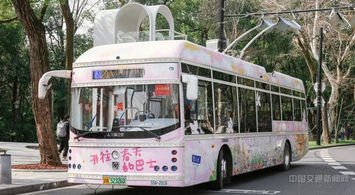 五、额外“干货”：其他城市类似线路一览（顺便凑字数）