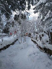 中国雪乡：银装素裹的童话世界