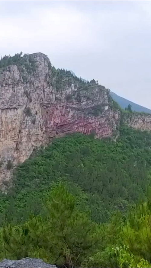 路边风景：睁眼瞎看
