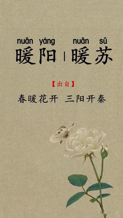 四、 情感灌注——让名字像一封未寄出的情书