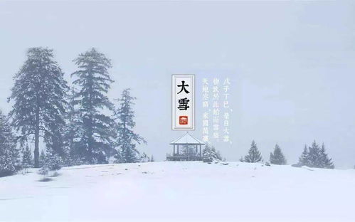 大雪节气具体是哪一天到来的嗯？这真是一个让人头疼又充满玄机的问题啊！