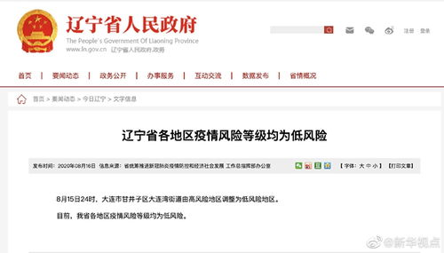 ：从较大连看疫情下的中国