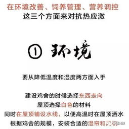 别搞那些千篇一律的玩意儿！