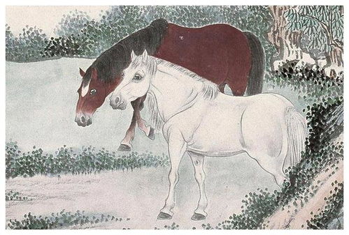 属马的男生：奔放自由但难以保持持续关注度