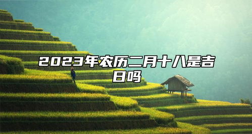 一、先说点乱七八糟的背景