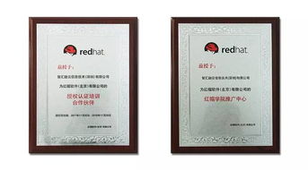 龙与国学：霸气还是柔柔软？怎样借助文化底蕴底蕴增强较大自信？