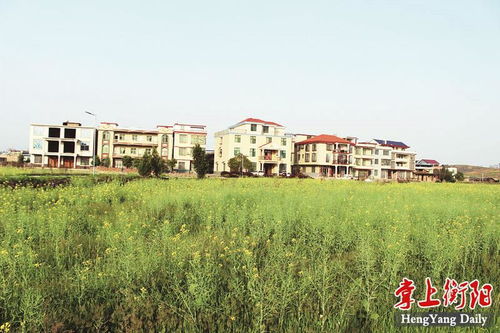 乡村游门票：一场让人血压飙升的数字大冒险