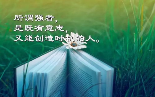 自我感动成长日记