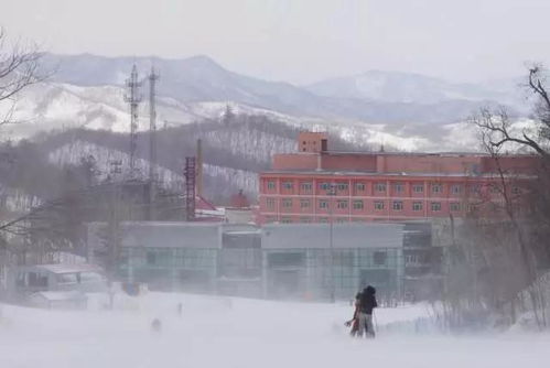 交通攻略全是坑！2024年最新血泪史