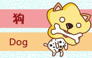 名列前茅的生肖是哪个？