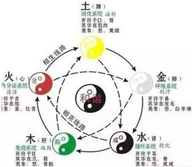 *第二类* —— 导游与旅行业