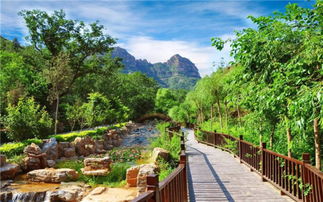 曲靖翠山门票打折游：一场让钱包哭泣的魔幻现实主义冒险