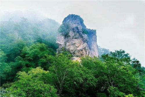 走进牛背梁：一场与天然的搏击