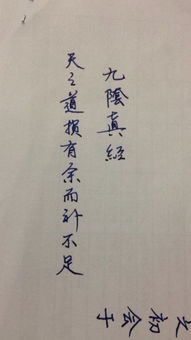 3. 段晓岚