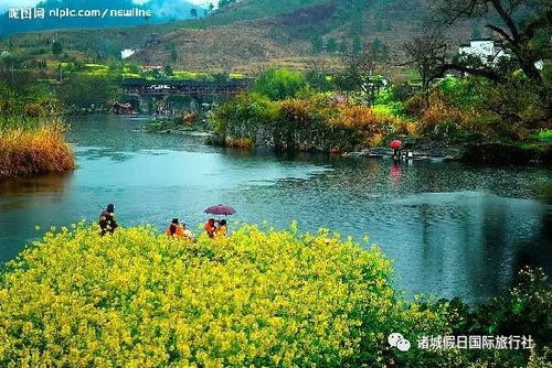 当旅行变成一场灾难，婺源却在坑你