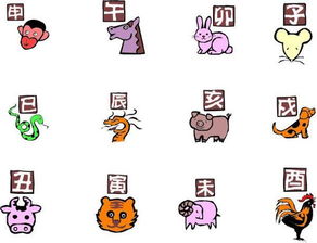 真实实案例：