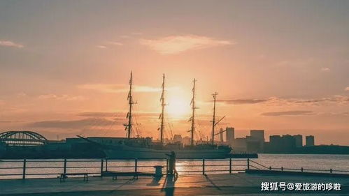 一、 骛源：天然之境，野生动物的天堂