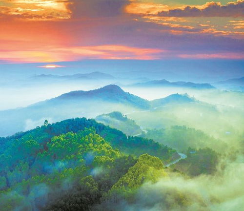 龙泉山城市森林公园：自然与休闲的完美结合