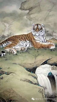 半夜出生的老虎要搞事情？