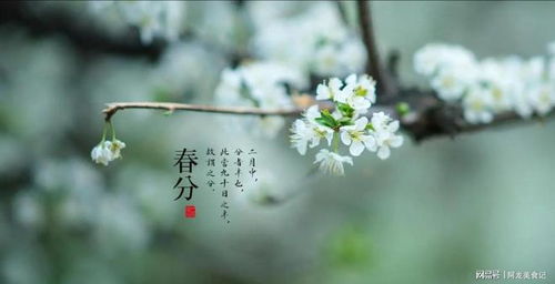 五、 其他建议：兼顾独特性与易读性