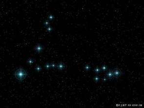 一、 眼神里的星辰——不经意却极致的关注