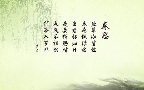 《“溪瑶”当前这个名字，真实的能让人想起流水中的宝石吗？》