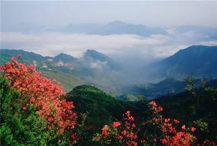 四海山住宿指南(纯属扯淡版)