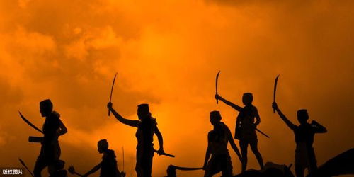 那些被刻进DNA里的属相密码