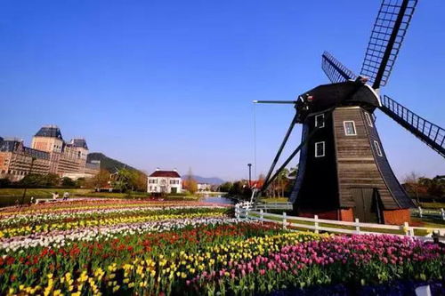 洛阳深度游：提着自制的宫灯装文化人