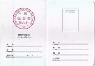 噪音段落——碎碎念