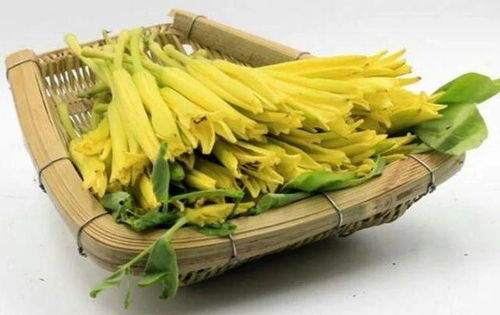 黄花菜与黄德的传说