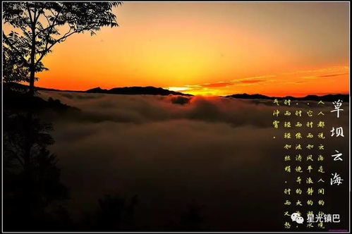 那一些被遗忘在较深山老林里的歌声