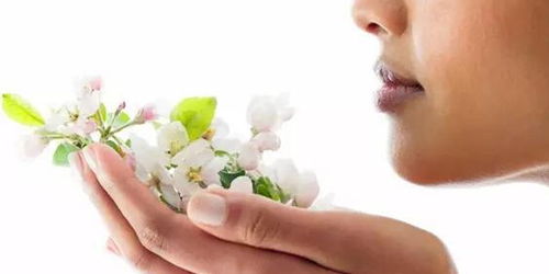 梦见闻到某种气味有什么特殊预兆或含义？